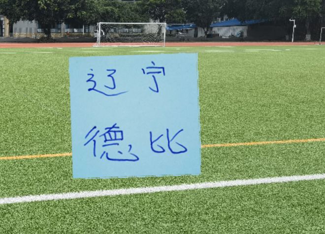 辽宁德比!11号马莱莱踢满全场