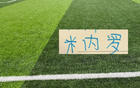 久违了!申花有人可以“上桌” 主角已不是米内罗 而是阿苏埃